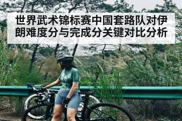 世界武术锦标赛中国套路队对伊朗难度分与完成分关键对比分析